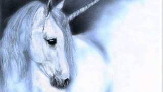 groove coverage-last unicorn