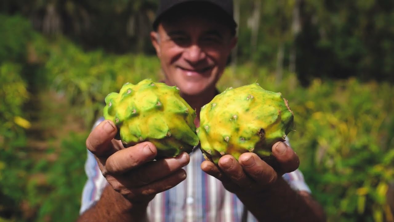 Sabores de Turmalina: Gastronomia que Transforma Comunidades