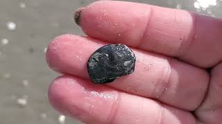 Super Shells, Springmaid Pier Shelling at Low Tide! Myrtle Beach, SC