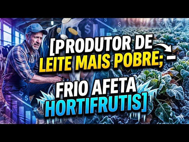Produtor de leite mais pobre; Frio afeta hortifrutis.
