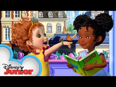 ナンシーのバタフライパビリオン？| ファンシーナンシー｜ディズニージュニア (Nancy's Butterfly Pavilion ? | Fancy Nancy | Disney Junior)