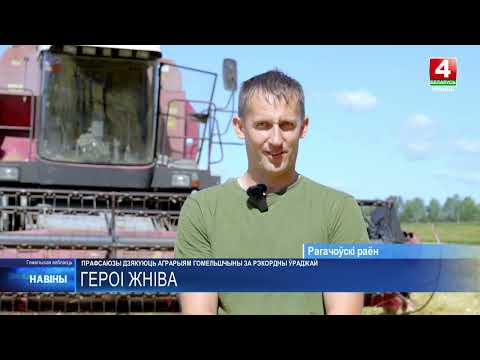 Аграрии Гомельщины намолотили 560 000 тонн зерна видео