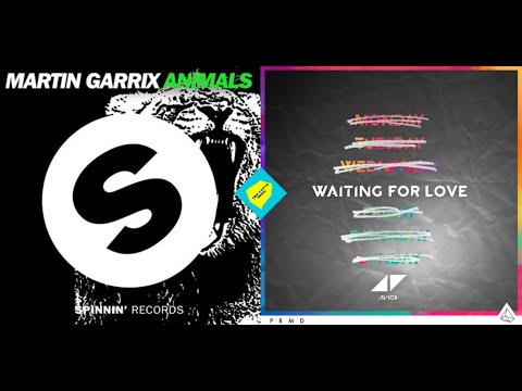 mashup Animals x Waiting For Love - Martin Garrix x Avicii