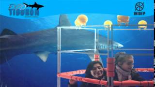 DIA 2 Expo Tiburon279