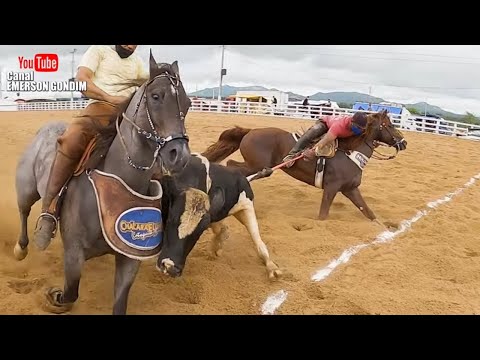 CLASSIFICAÇÃO PROFISSIONAL - VAQUEJADA PARQUE CICERA DOS SANTOS EM PAULIASTA  PARAÍBA