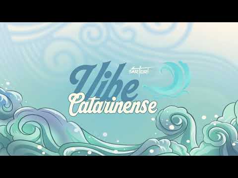 MEGA FUNK VIBE CATARINENSE   DJ Sartori 2023