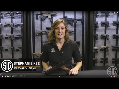 Precision Super Target Air Pistol