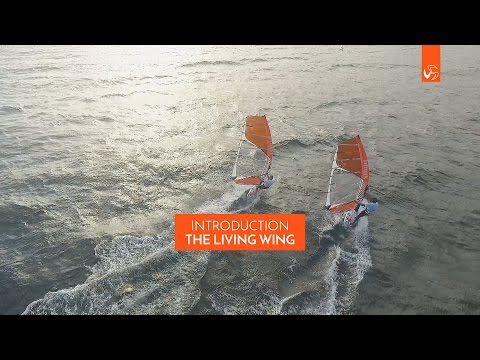 Living Wing - Tech talks from Monty&Diony about the trim