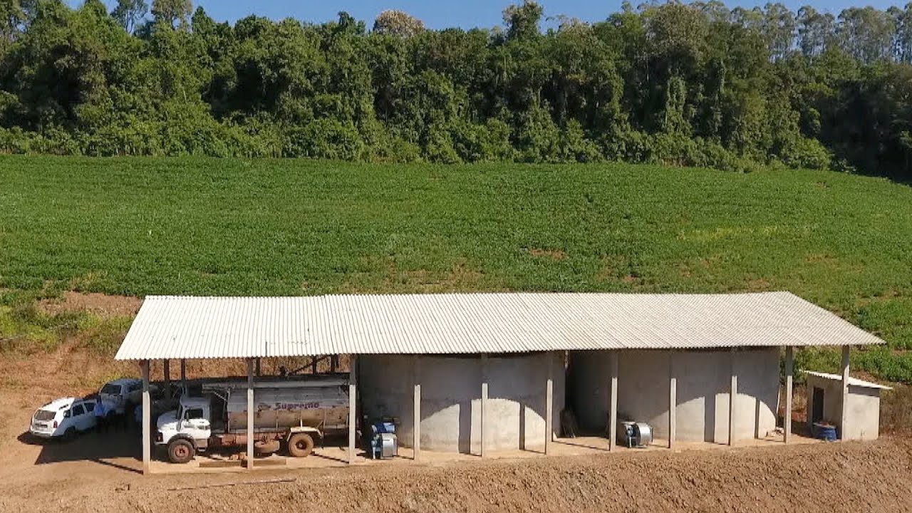 Silo secador: grãos protegidos, animais bem nutridos