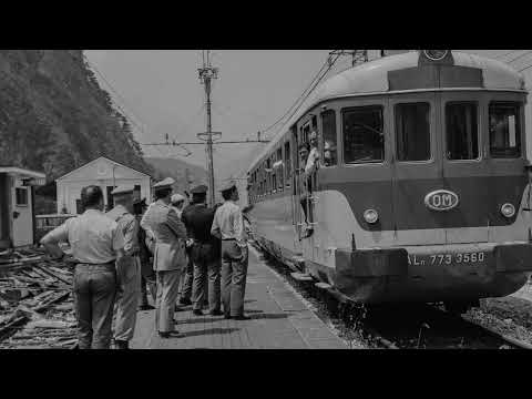 Guarda il video su YouTube: Archivio Fotografico Morandini