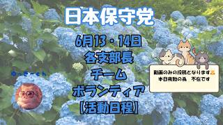 日本保守党　６月13・14日　各支部長　チーム・ボランティア皆様の【活動日程】