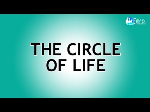 2023-11-01The Circle of Life - Ed Lapiz