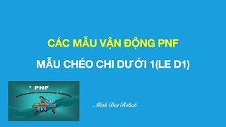 Các Mẫu Vận Động PNF: Mẫu Chéo Chi Dưới 1 (LE D1)