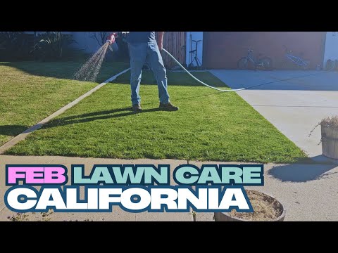California!! Do this to your lawn in February