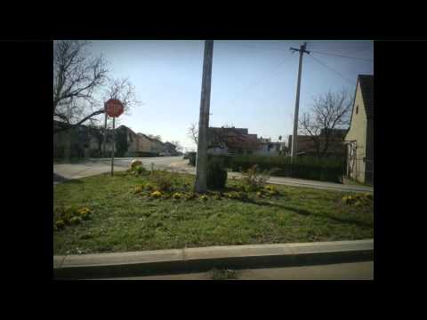 Čuvari Parka - Moja ulica