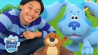 Blue and Josh Find Clues and Play the Gopher Game! 🐾 w/ Shovel & Pail | Blue's Clues & You!
