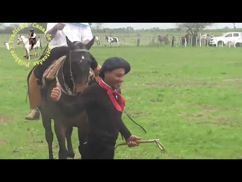 Programa Folklore y Tradición Nº 736 fiesta delos Viejos Toros Villa Clara E.R 1º parte