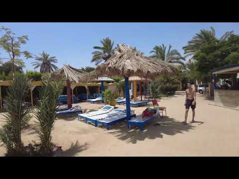 Anemone Beach, Hurghada 07/2021 (pláž na Sherry street)