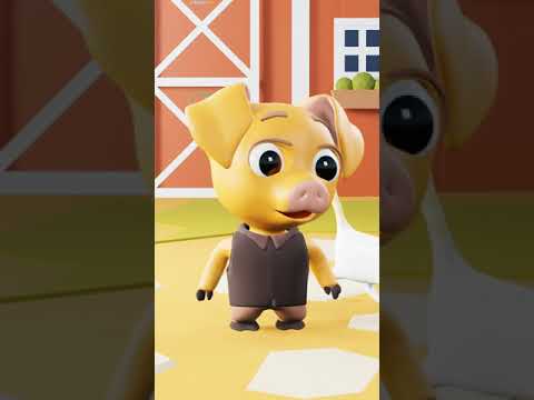 Conheça o Kinho (Gato Porquinho)