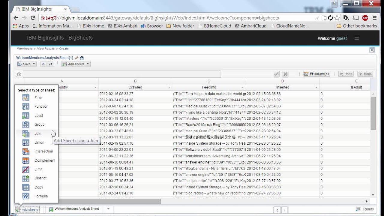 IBM BigInsights BigSheets Demo