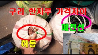 구리 한자루의 엄청난 가격차이 이건 꼭 아셔야 합니다