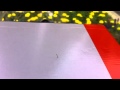 Tiny Inch Worm