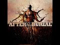 After the burial - Drifts (from Rareform 2008)