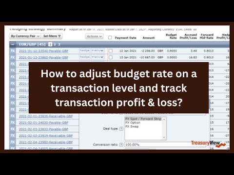 How to adjust budget rate on a transaction level and track transaction profit & loss?