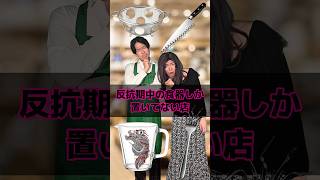 反抗期中の食器しか置いてない店