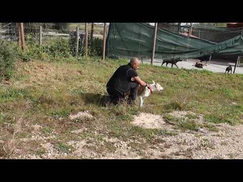 Vídeo de KIARA