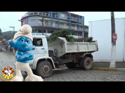 Prefeitura de Juquitiba Departamento do Meio Ambiente Corte Árvore da Subida do morro
