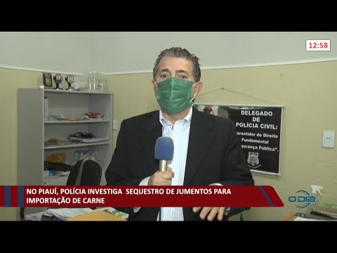 Polícia Civil apura abatimentos e vendas ilegais de carne de jumento no litoral do Piauí 27 08 202
