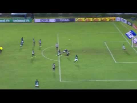 Goiás 2 x 0 Botafogo - Campeonato Brasileiro 2014