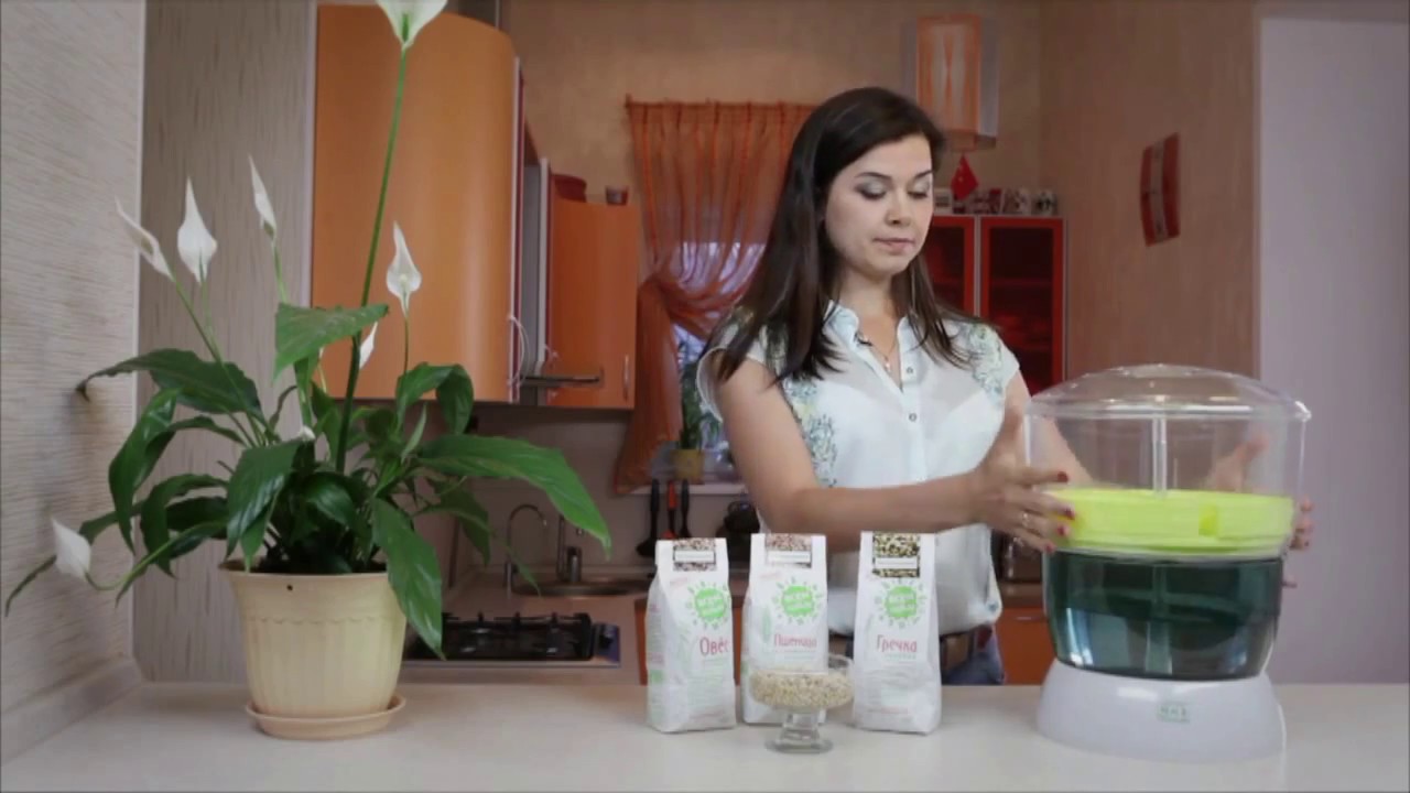 Проращиватель Doctor Green SC-9000TS