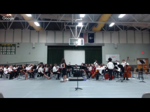 FMS Spring 2018 Orchestra Concert