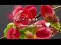 Intha Siru Pennai Whatsappstatus Naam Iruvar Namaku Iruvar ️ Prabhudeva Meena Melody Song