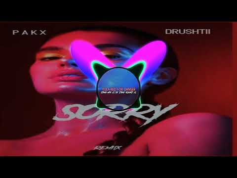 Paxx ft Drushtii - SORRY (MOOMBAH REMIX)