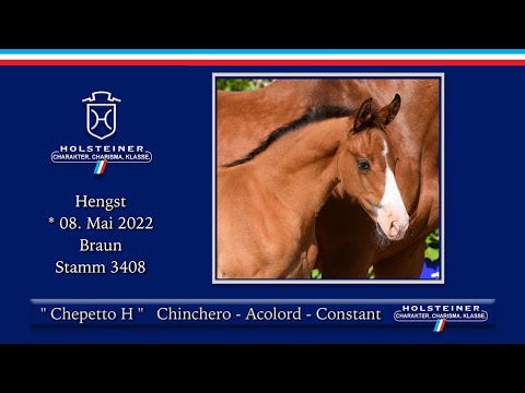 Holsteiner Elite-Fohlenauktion 2022 | Nr. 47 Chepetto H
