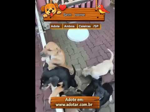 Vídeo de Sem nome 