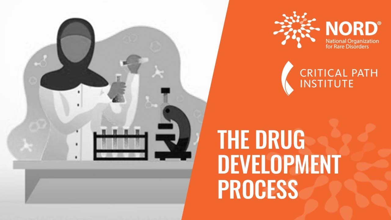 The Drug Development Process