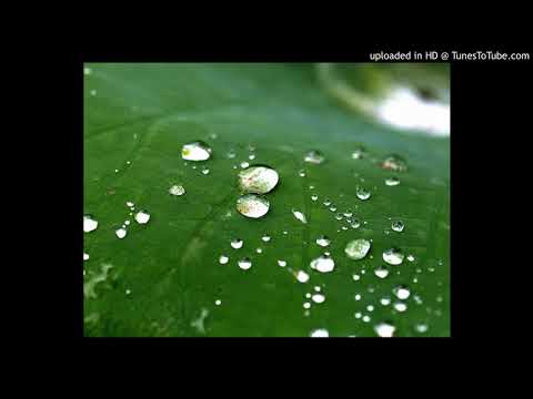 Lotusblatt (Beat by JCHL)