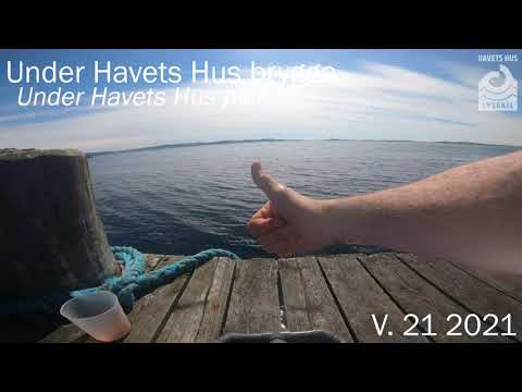 Under Havets Hus brygga, Vecka 21