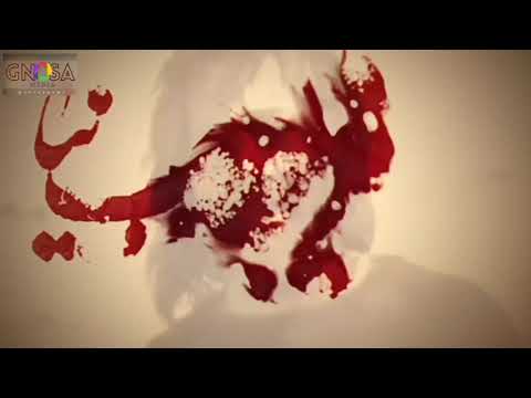 "Muhtarname" - Rrëfimi i Muhtarit (pjesa 18)