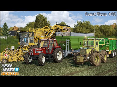 HARVESTING SUGAR BEETS WITH ROPA PANTHER 2🔹#CourtFarm Ep. 35🔹Farming Simulator 22