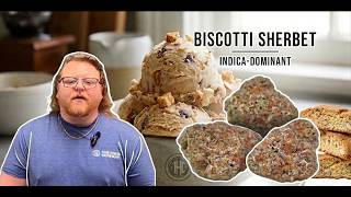 Biscotti Sherbert Strain Review: Our Brain's Just Went on Vacation