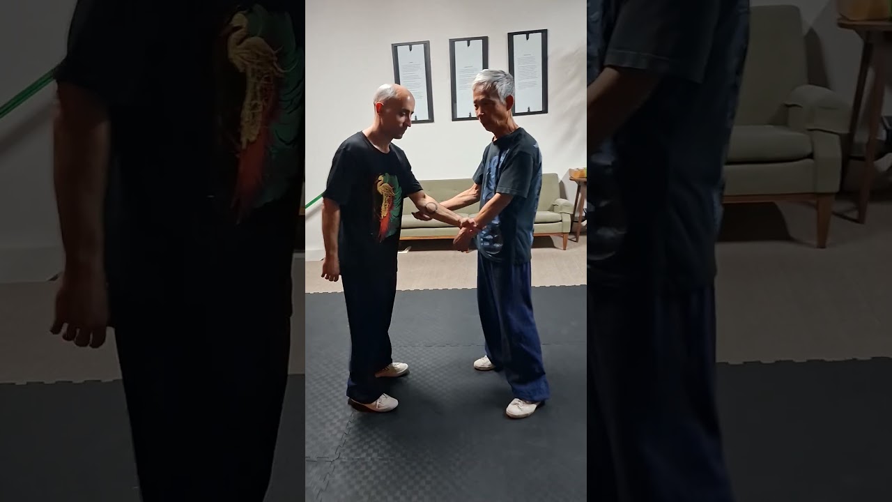 懒扎衣用法 2 Lazily Tying Coat application 2