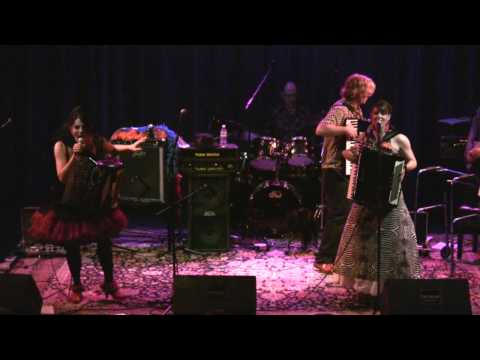 Those Darn Accordions-Whole Lotta Love, Black Dog