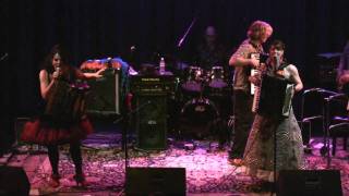 Those Darn Accordions-Whole Lotta Love, Black Dog