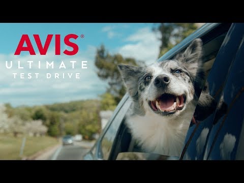 Avis Car Sales | Ultimate Test Drive
