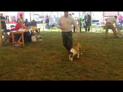 Dinu Catalina and Jhon Young in Bournemouh Show.